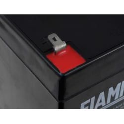 akumulátor pro APC Back-UPS ES 350 - FIAMM originál__2