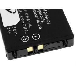 akumulátor pro Nintendo Gameboy DS__2