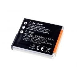 akumulátor pro Sony Cyber-shot DSC-W90__1